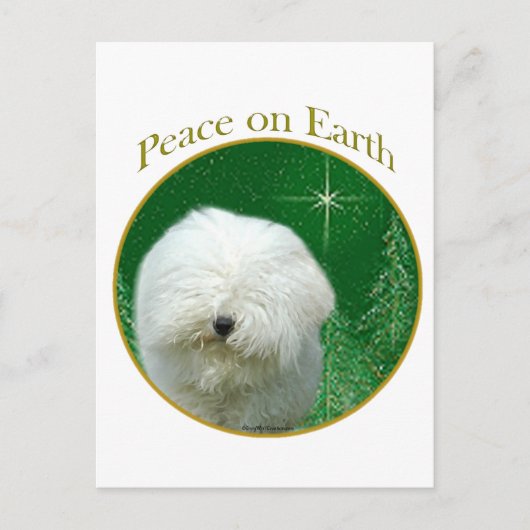 Puli Peace Briefkaart (Voorkant)