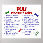 PULI PL2 POSTER (Voorkant)