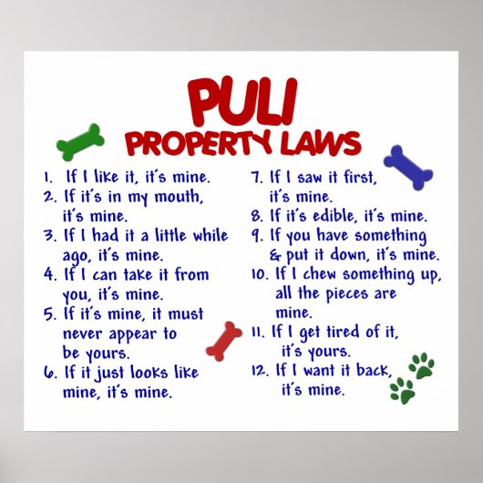 PULI PL2 POSTER (Voorkant)