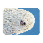 Puli-schilderijen - Kute Original Dog Art Magneet (Horizontaal)