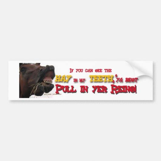 Pull in reins Funny Horse Bumpersticker (Voorkant)