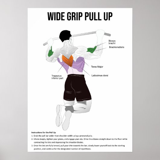 Pull-Up - Exercise - Muscle Anatomy Chart Poster (Voorkant)