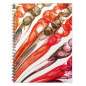 Pulled Bubble Fun (1974) beroemd gemaakt door Spir Notitieboek (Voorkant)