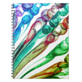 Pulled Bubble Fun / Greenleaf / Spiraal Notitieboek (Voorkant)