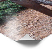 Pullen Park Raleigh Photo Print Andy Griffith Foto Afdruk (Hoek)