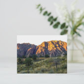 Pulliam Ridge, Big Bend National Park, Texas Briefkaart (Staand voorkant)