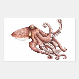 Pulpo - Octopus vulgaris Rechthoekige Sticker