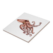 Pulpo - Octopus vulgaris Tegeltje (Zijkant)