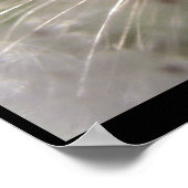 Pulsar Poster (Hoek)