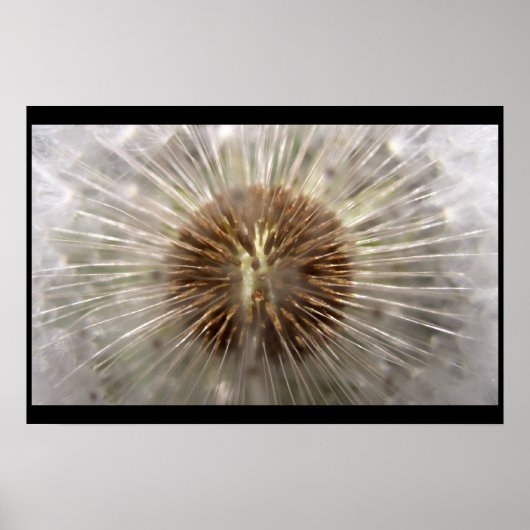 Pulsar Poster (Voorkant)