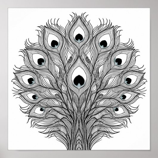 Pulsating Peacock Feather Decoupage Template Line  Poster (Voorkant)