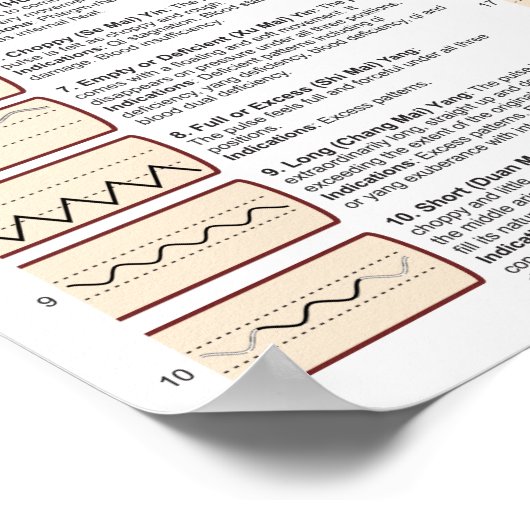 Pulsdiagnose Acupunctie TCM Poster (Hoek)