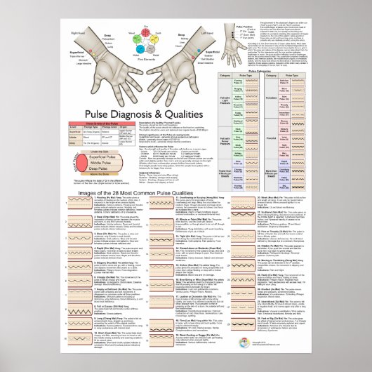 Pulsdiagnose Acupunctie TCM Poster (Voorkant)