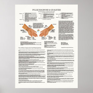 Pulse Diagnosis Acupunctieschema Poster