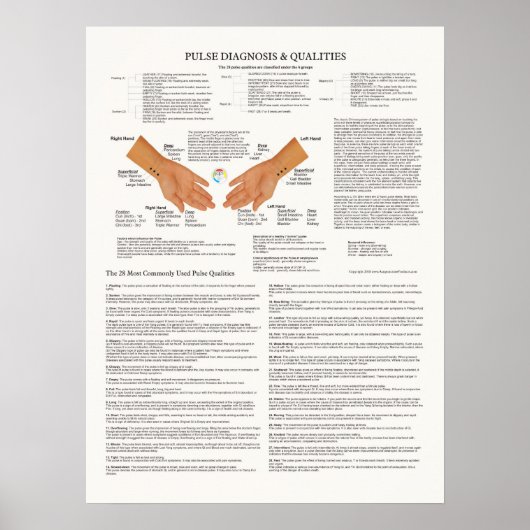 Pulse Diagnosis Acupunctieschema Poster (Voorkant)