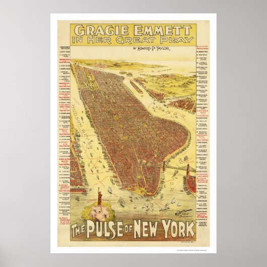 Pulse van New York Map 1891 Poster (Voorkant)