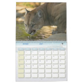 Puma Calendar Cougar Kalender (Feb 2027)