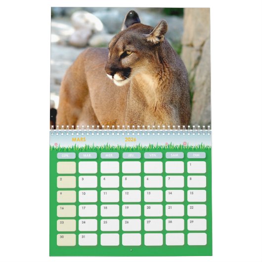 Puma Calendar Cougar Kalender (Mar 2026)
