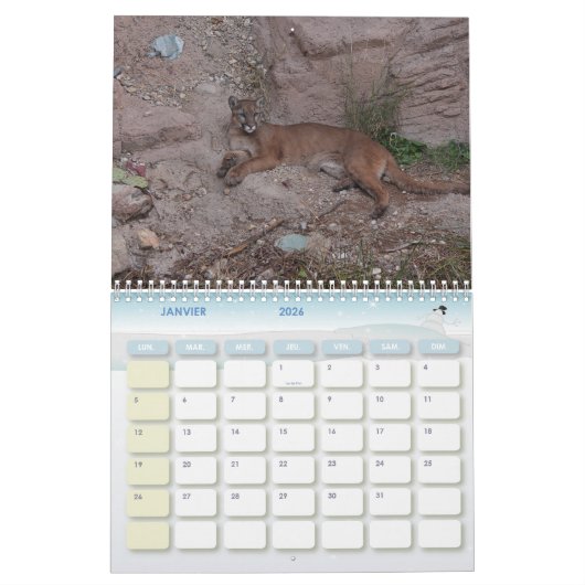 Puma Calendar Cougar Kalender (Jan 2026)
