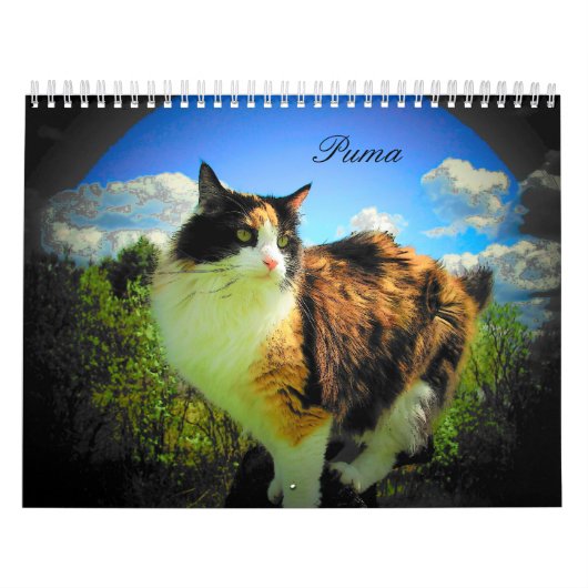 Puma Cat, Mijn Supermodel Calico Bijgewerkt Kalender (Hoes)