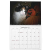 Puma Cat, Mijn Supermodel Calico Bijgewerkt Kalender (Feb 2027)