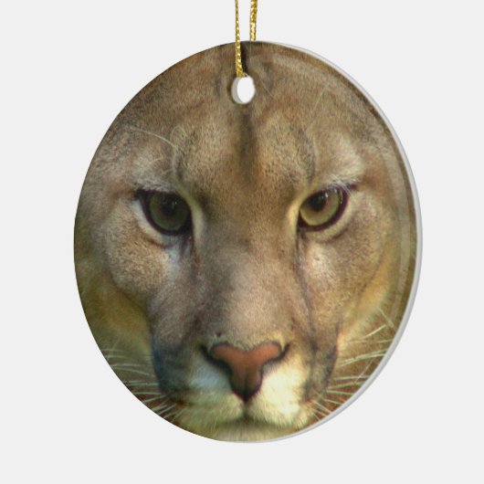 Puma Cat Ornament (Links)
