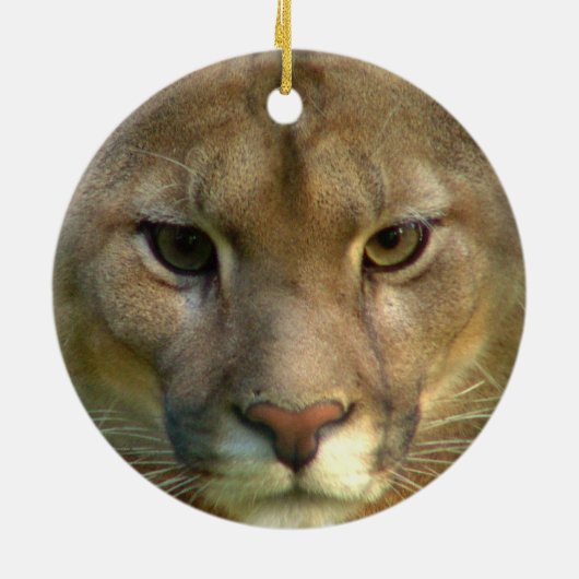 Puma Cat Ornament (Achterkant)