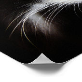 Puma Cat Poster (Hoek)