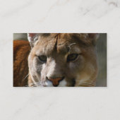 Puma Cat Visitekaartje (Achterkant)