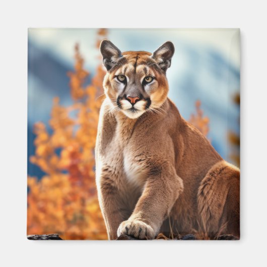 Puma Dier Wilderness Kleurrijke kunst aan de muur Magneet (Voorkant)