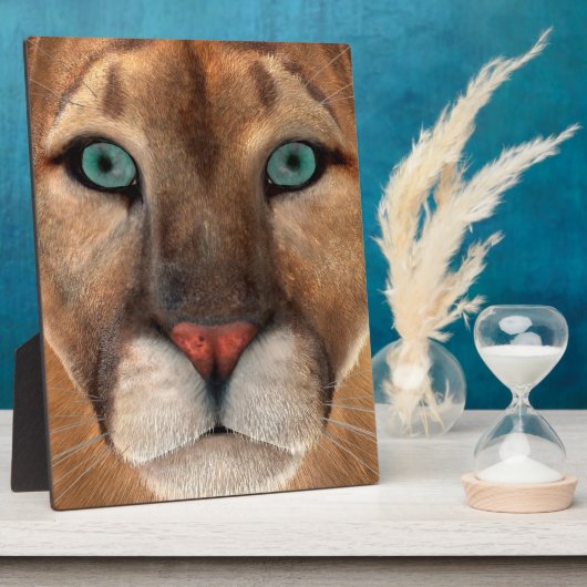 Puma Fotoplaat (Zijkant)