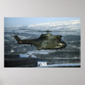 Puma-helikopter Poster (Voorkant)