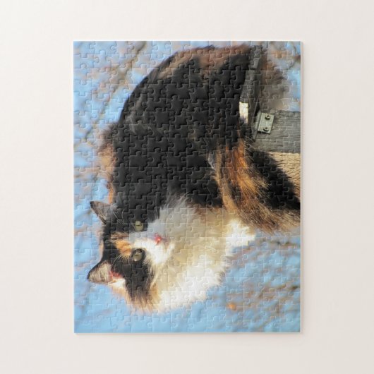 Puma in "Beter Uitzicht" door djoneill Legpuzzel (Verticaal)