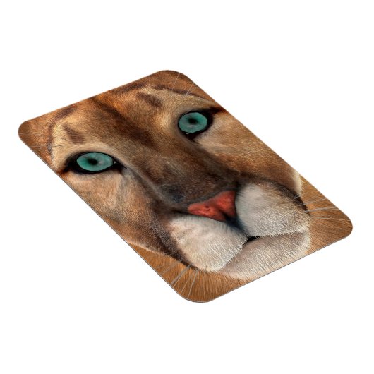 Puma Magneet (Rechterzijde)