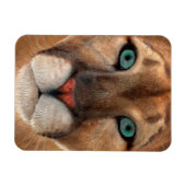 Puma Magneet (Horizontaal)