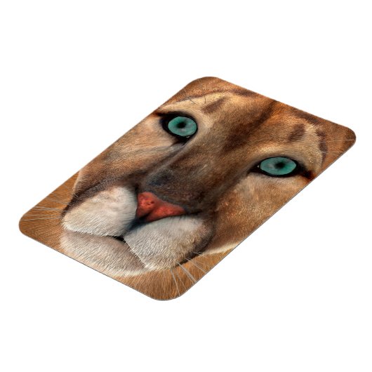 Puma Magneet (Linkerzijde)