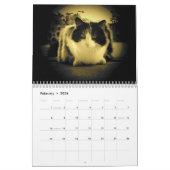 Puma, Mijn Calico, Mijn Supermodel Kalender (Feb 2026)