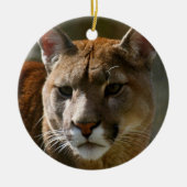 Puma Ornament (Voorkant)