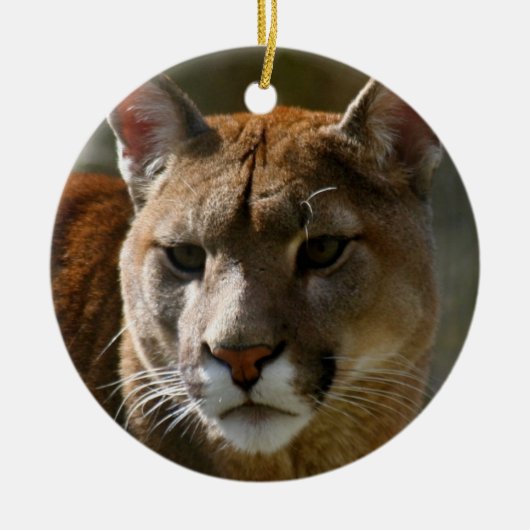 Puma Ornament (Voorkant)