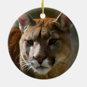 Puma Ornament (Achterkant)