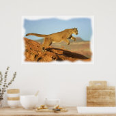 PUMA POSTER (Keuken)