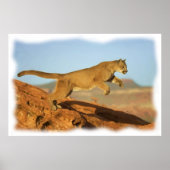 PUMA POSTER (Voorkant)