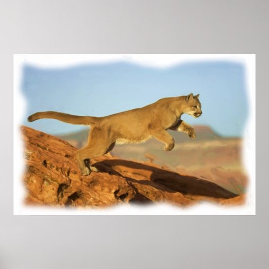 PUMA POSTER (Voorkant)