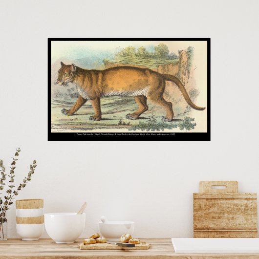 Puma Poster (Keuken)