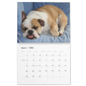 Pumbaa Kalender (Mar 2026)