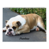 Pumbaa Kalender (Hoes)