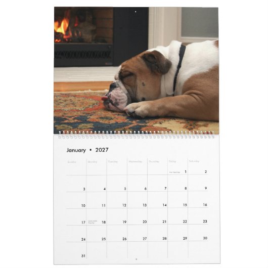 Pumbaa Kalender (Jan 2027)