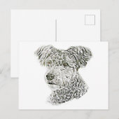 Pumi Briefkaart (Voorkant / Achterkant)