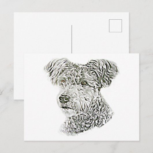 Pumi Briefkaart (Voorkant / Achterkant)