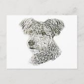 Pumi Briefkaart (Voorkant)